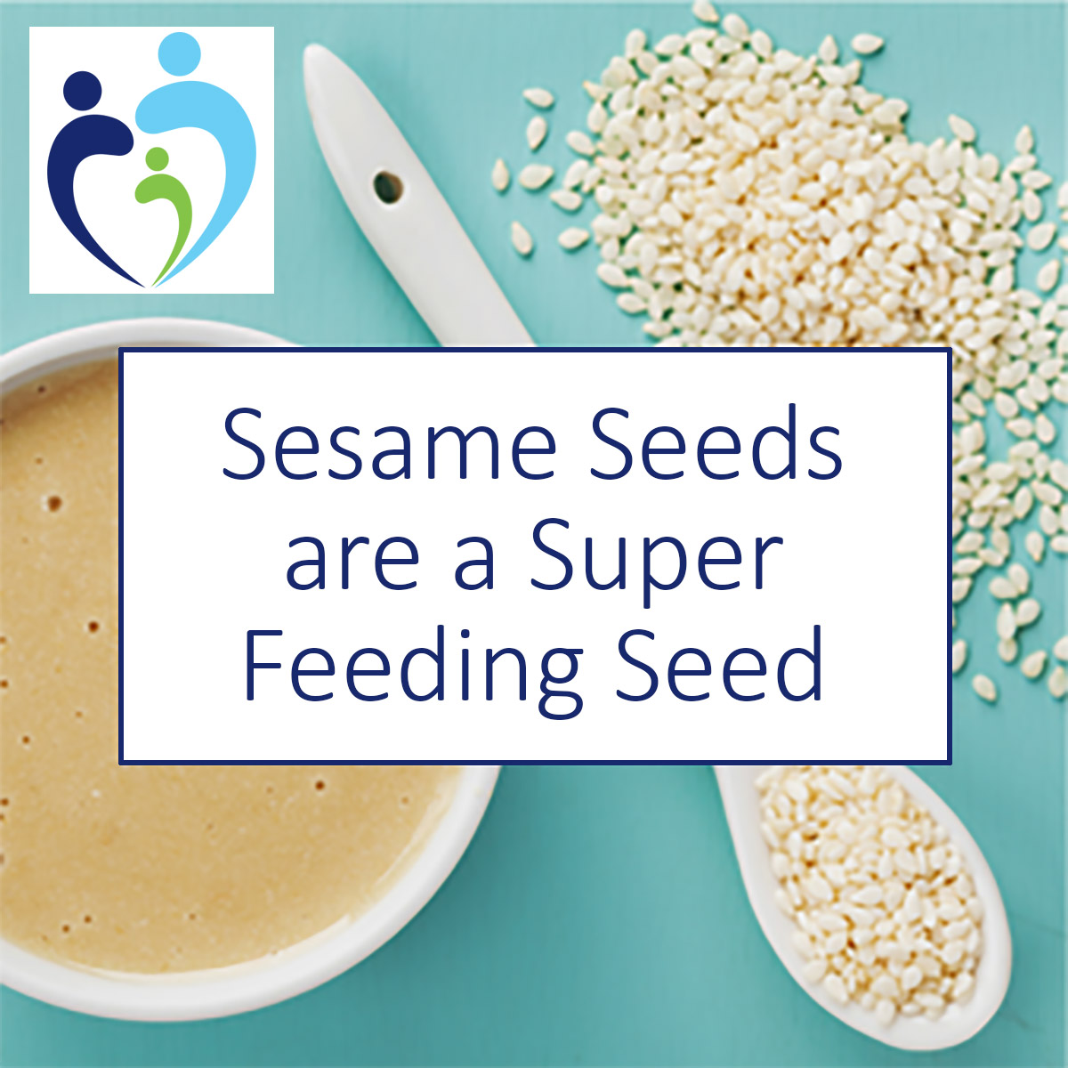 Sesame Seeds are a Super Feeding Food Breast Pump Blog