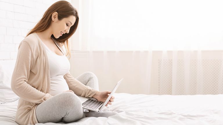 Pregnant Woman on Computer